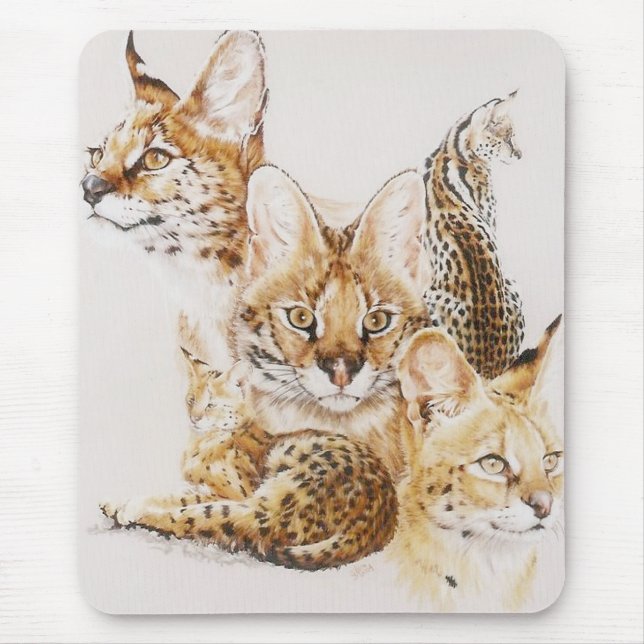 Tapis De Souris Adroit (Devant)