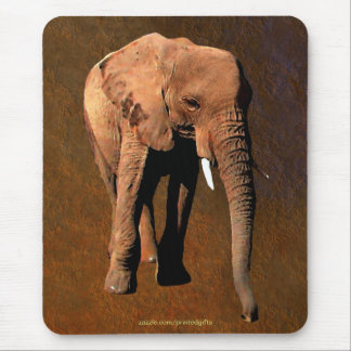 Tapis De Souris African Elephant Big Five Animal Mousepad