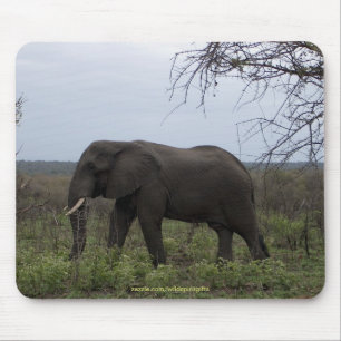 Tapis De Souris African Elephant Wildlife Supporter Mousepad