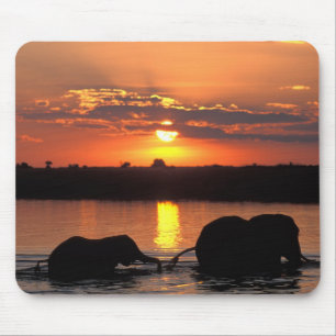 Tapis De Souris Afrique, Botswana, Parc national de Chobe, Troupea