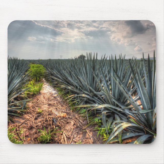 Tapis De Souris Agave Tequilana (Devant)