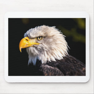 Tapis De Souris Aigle 2