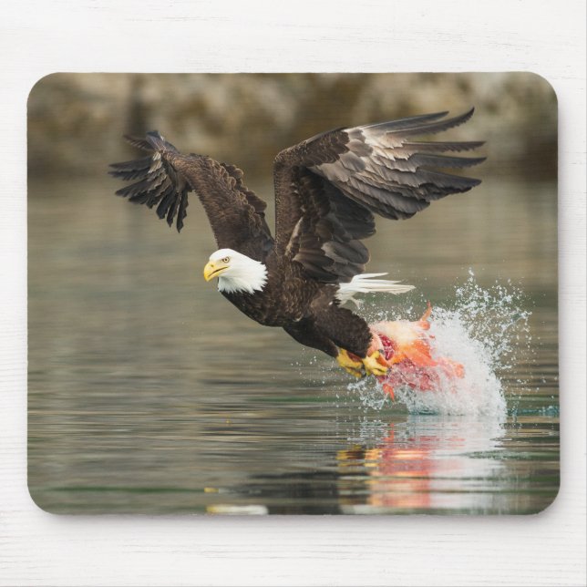 Tapis De Souris Aigle à tête plate (Devant)