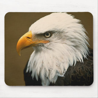 Tapis De Souris aigle chauve