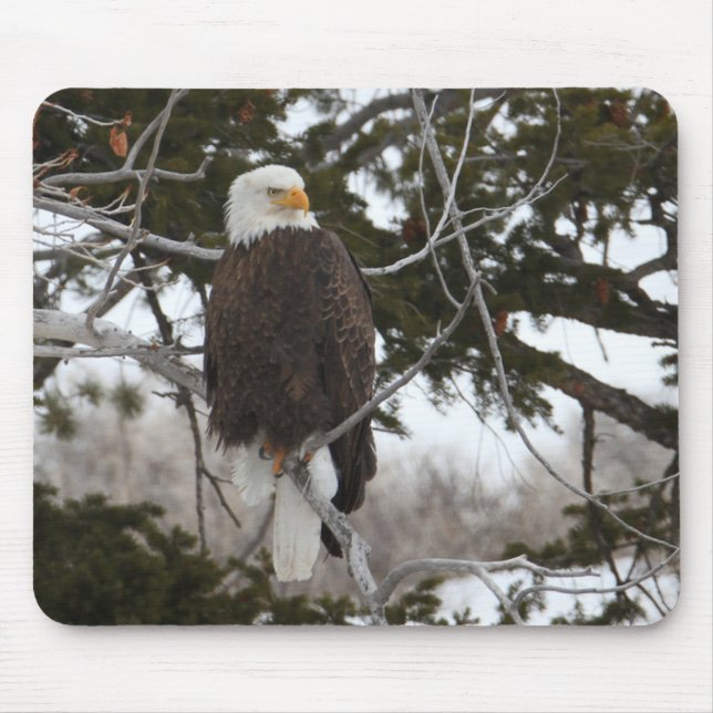 Tapis De Souris Aigle de Bald (Devant)