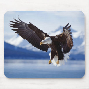 Tapis De Souris Aigle de souris