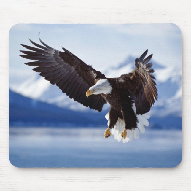 Tapis De Souris Aigle de souris (Devant)