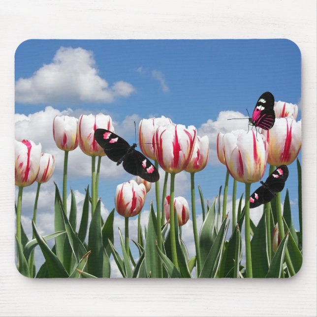 Tapis De Souris Ailes du printemps (Devant)