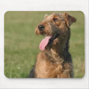 Tapis De Souris Airedale Mousepad
