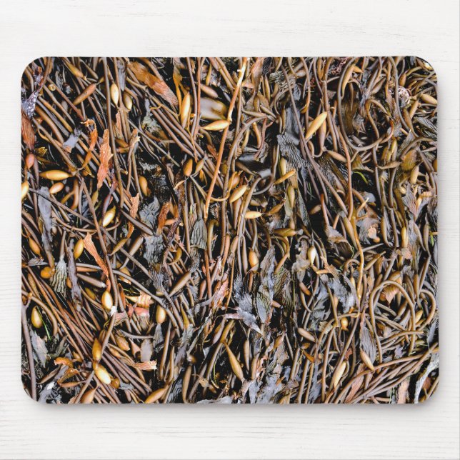 Tapis De Souris Algues (Devant)