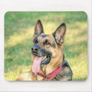 Tapis De Souris Allemand Shepard