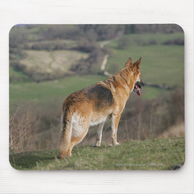 Tapis De Souris Allemand Shephard regardant en bas de la colline (Devant)