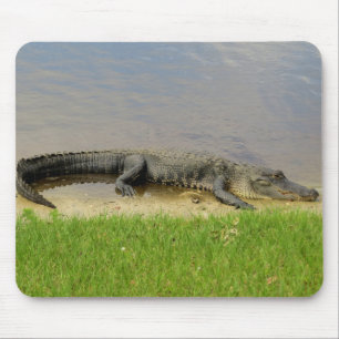 Tapis De Souris Alligator américain - Nice et tranquille