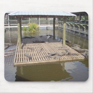 Tapis De Souris Alligators Qui Mènent Dans Le Souris Solaire