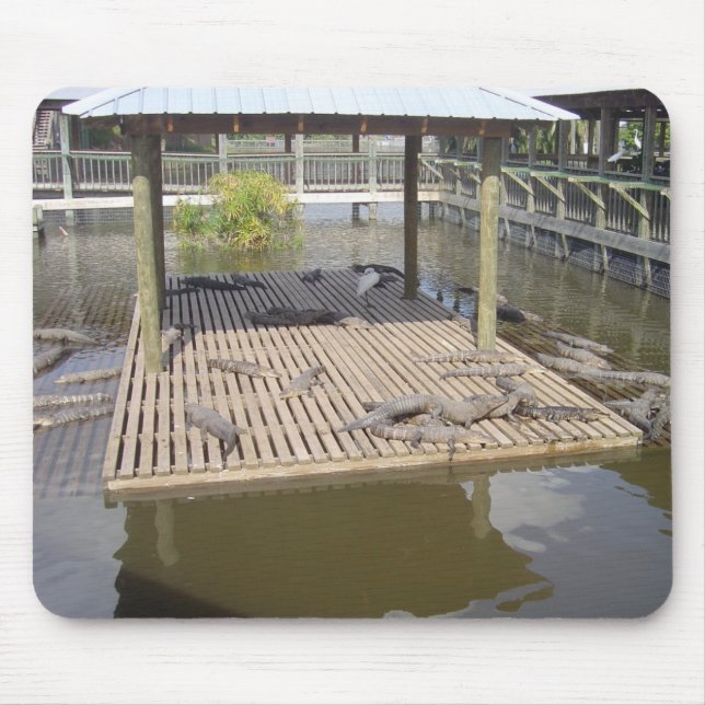 Tapis De Souris Alligators Qui Mènent Dans Le Souris Solaire (Devant)