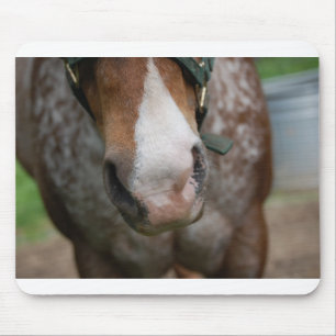 Tapis De Souris Allo !