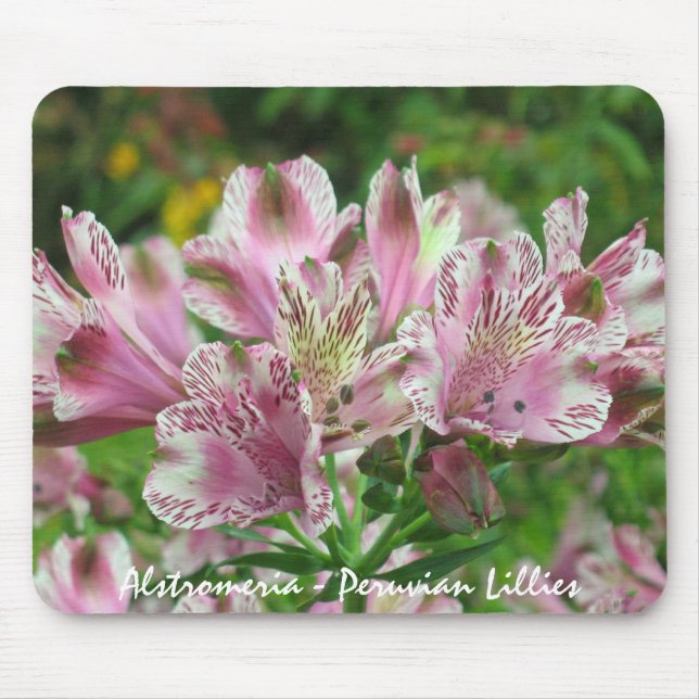 Tapis De Souris Alstromeria rose et blanc Mousepad (Devant)