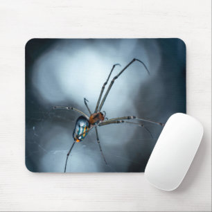 Tapis De Souris Amateurs d'araignée Beauty Spider Avec Des Webs