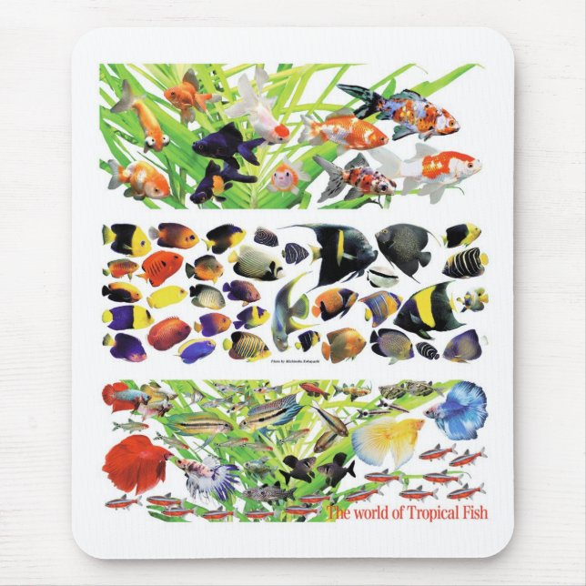 Tapis De Souris Amateurs de poissons d'animaux de compagnieた め の マ (Devant)