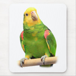 Tapis De Souris Amazone à tête jaune