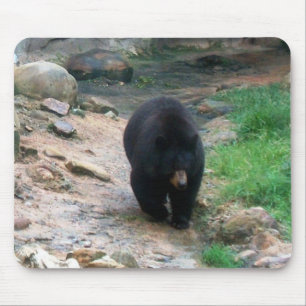 Tapis De Souris American Black Bear