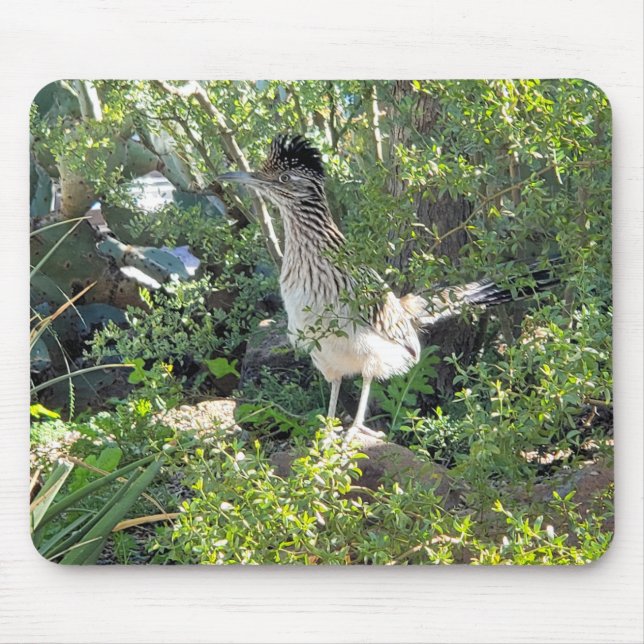 Tapis De Souris American Roadrunner dans le désert de l'Arizona (Devant)