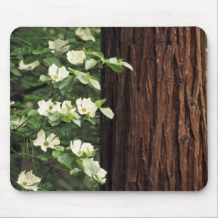 Tapis De Souris Amérique du Nord, États-Unis, Californie, Yosemi