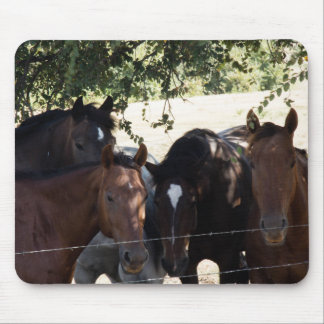 Tapis De Souris Amis