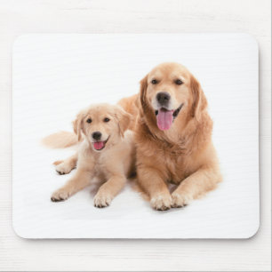 Tapis De Souris Amis de golden retriever