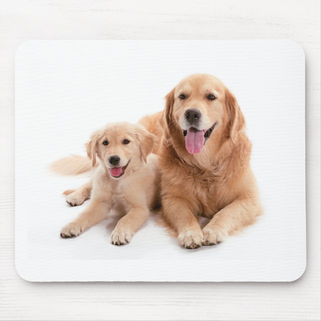 Tapis De Souris Amis de golden retriever (Devant)