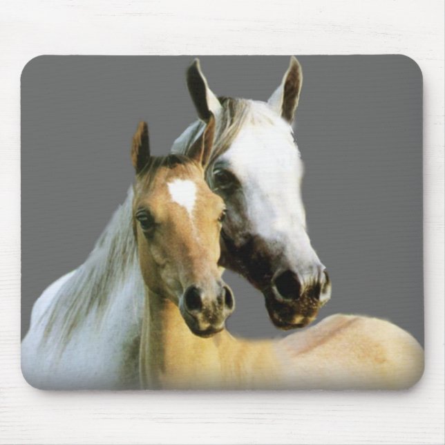 Tapis De Souris Amis Mousepad de cheval (Devant)