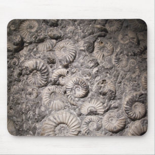 Tapis De Souris Ammonites