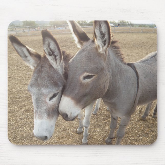 Tapis De Souris Amour de Burro (Devant)