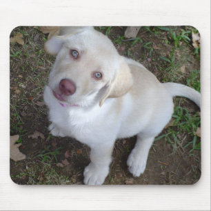 Tapis De Souris Amour de chiot