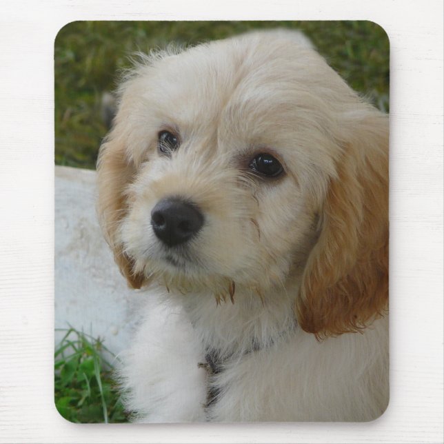 Tapis De Souris Amour de chiot - photo mignonne de chien de (Devant)