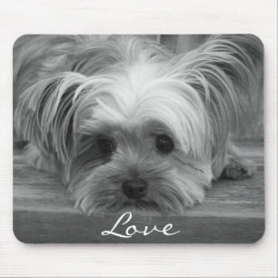 Tapis De Souris Amour Yorkshire Terrier Chien Chien Mousepad