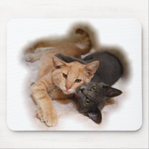 Tapis De Souris Amoureux de les chats Mousepad
