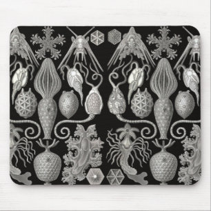 Tapis De Souris "Amphoridea; ou, Star-Animals"