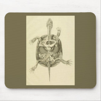 Tapis De Souris Anatomie biologique vintage de tortue
