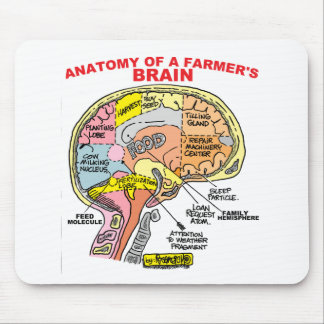 TAPIS DE SOURIS ANATOMIE DU CERVEAU D'UN AGRICULTEUR