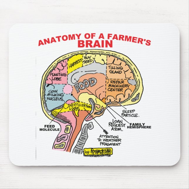 TAPIS DE SOURIS ANATOMIE DU CERVEAU D'UN AGRICULTEUR (Devant)
