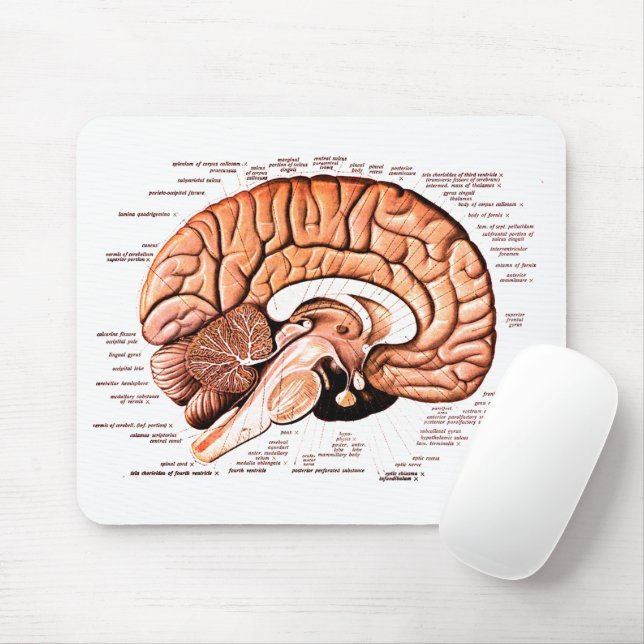 Tapis De Souris Anatomie du cerveau humain Diagramme Médicale Nouv (Avec souris)