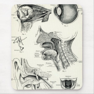 Tapis De Souris Anatomie - sens d'humain