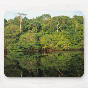 Tapis De Souris Anavilhanas, Amazonas, Brésil. Rivière de la forêt