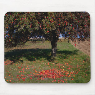 Tapis De Souris Ancien arbre à pomme