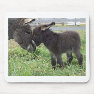 Tapis De Souris âne