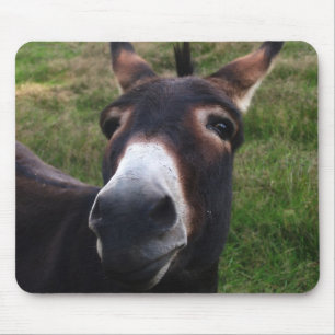 Tapis De Souris Âne de sourire Mousepad
