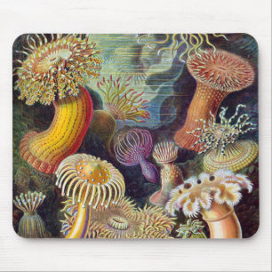 Tapis De Souris Anémones de mer sous-marines vintage par Ernst Hae