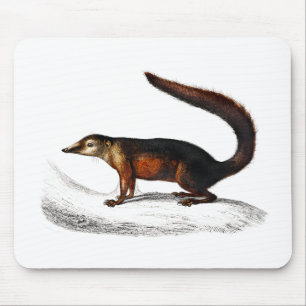 Tapis De Souris animal à musaraigne