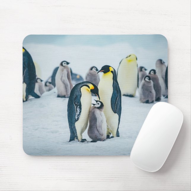 Tapis De Souris Animaux de bébés cutest | Alimentation de pingouin (Avec souris)